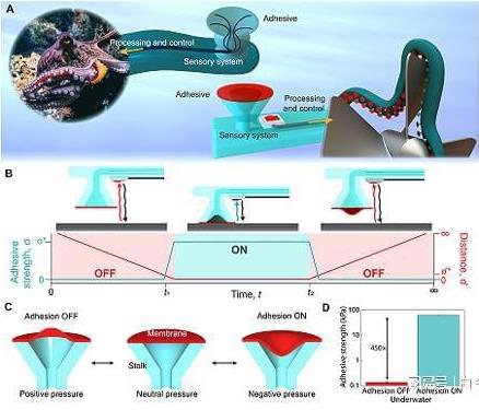 受章魚吸盤的啟發(fā)，他們3D打印了水下抓握手套 微信截圖_20230304162715